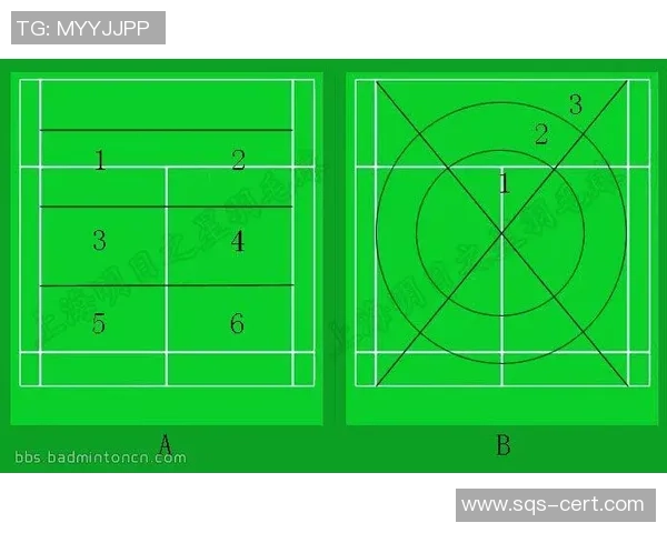 赛后分析:北京羽毛球队与南京羽毛球队灵活性对比及战术启示 赛后分析:北京羽毛球队与南京羽毛球队灵活性对比及战术启示