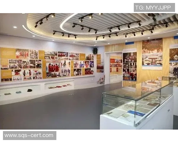 重庆排球队实力解析:从历史成就到未来发展全景展望 重庆排球队实力解析:从历史成就到未来发展全景展望