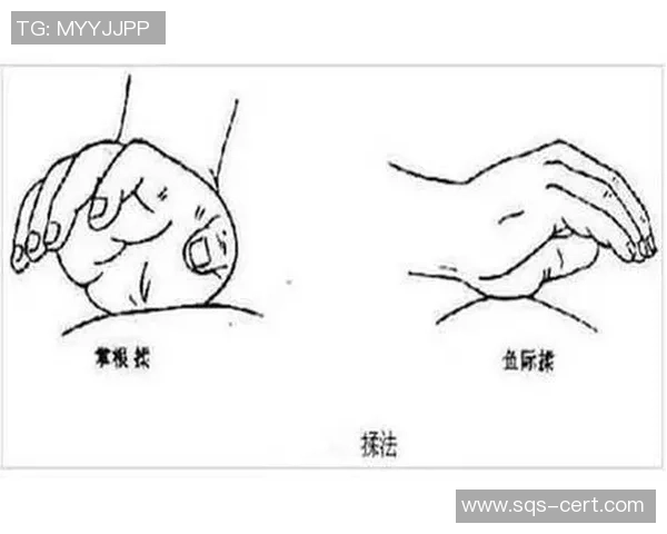 专业解读:北京羽毛球队的进攻打法 专业解读:北京羽毛球队的进攻打法