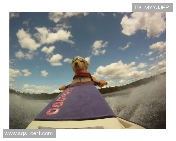 极限运动战术：南京极限运动队的防守体系